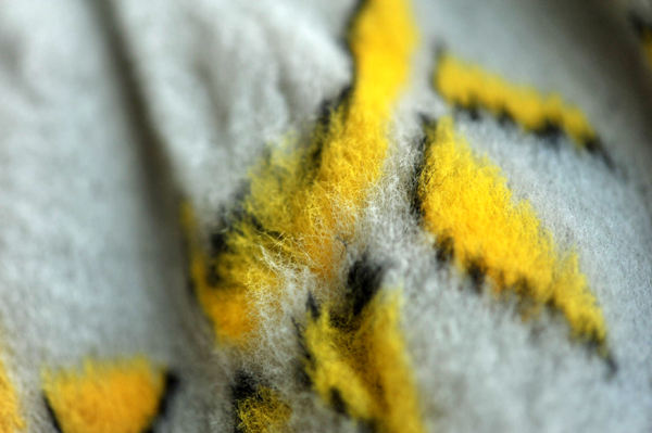 427 enjo 2 DSC_1033.JPG